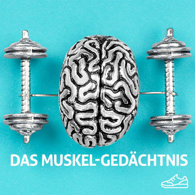 Das Muskel-Gedächtnis