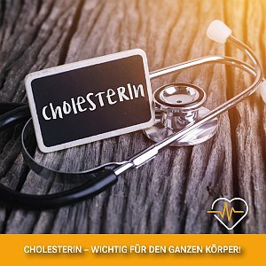 Cholesterin – wichtig für den ganzen Körper!